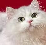 微信图片_20260915184944.png