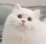 微信图片_20260915184948.png