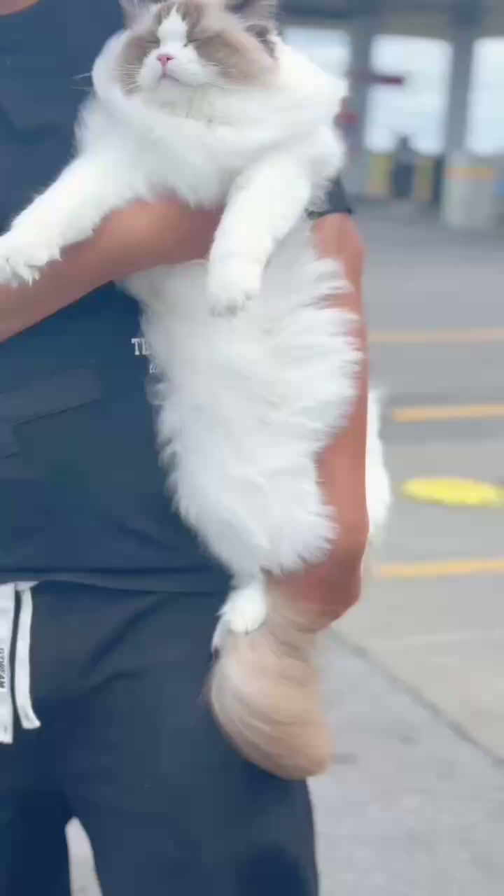 WeChat_20251005111947.mp4