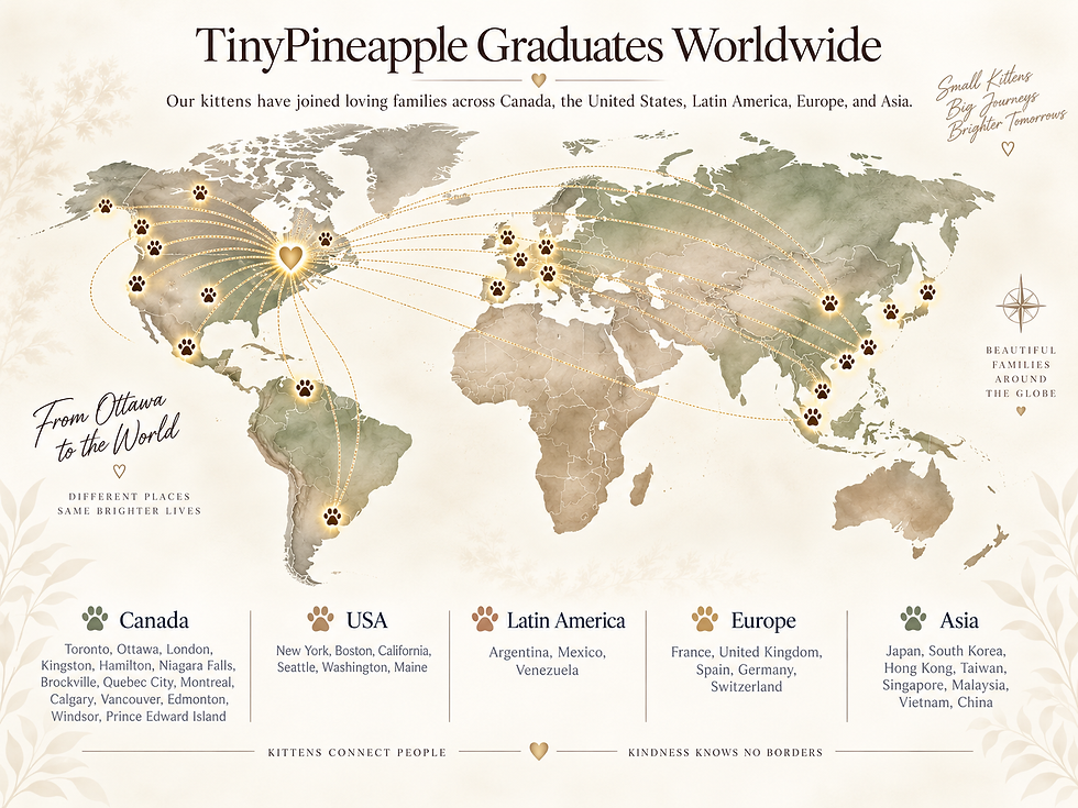 World map showing TinyPineapple Ragdoll graduates worldwide.