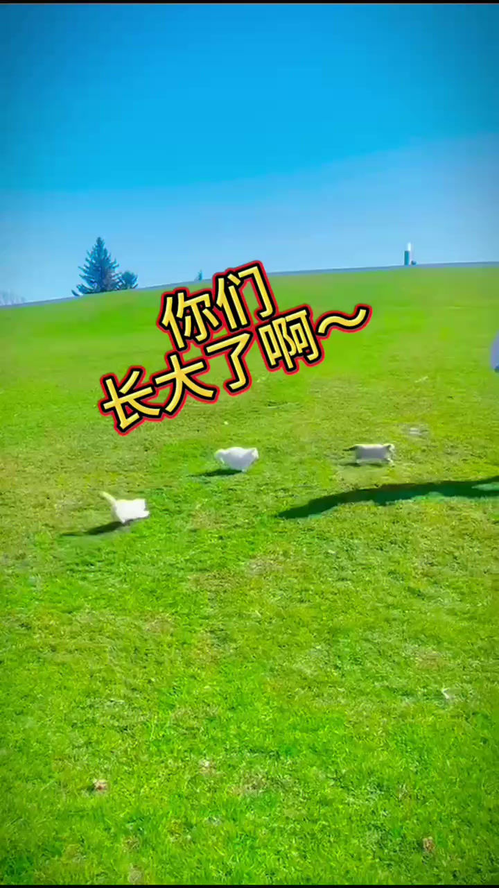 WeChat_20251005074157.mp4