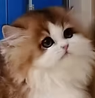 微信图片_20260915185255.png