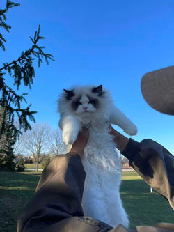 微信图片_20251006061907