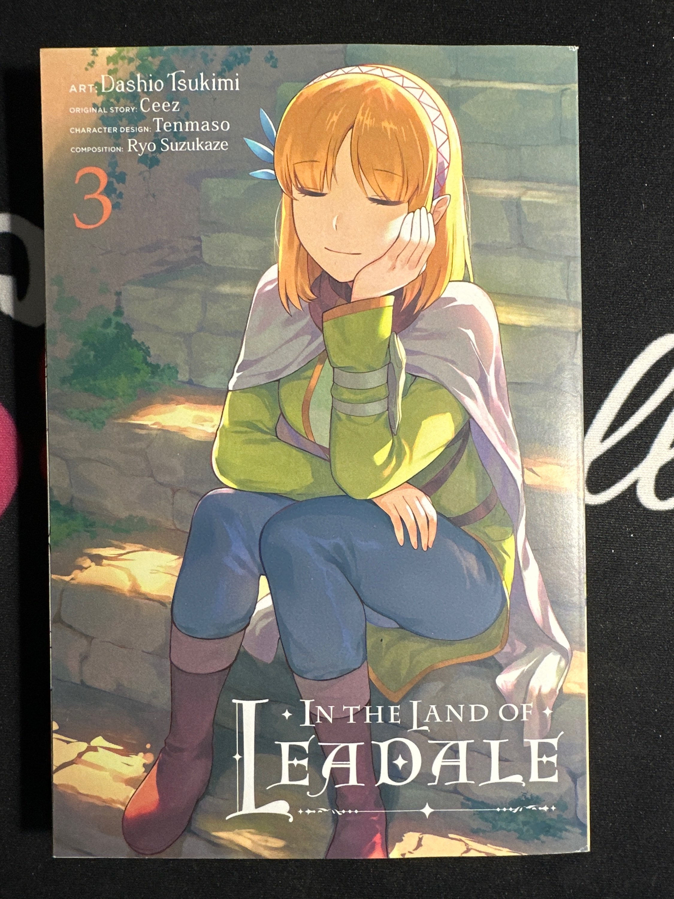 In the Land of Leadale 3