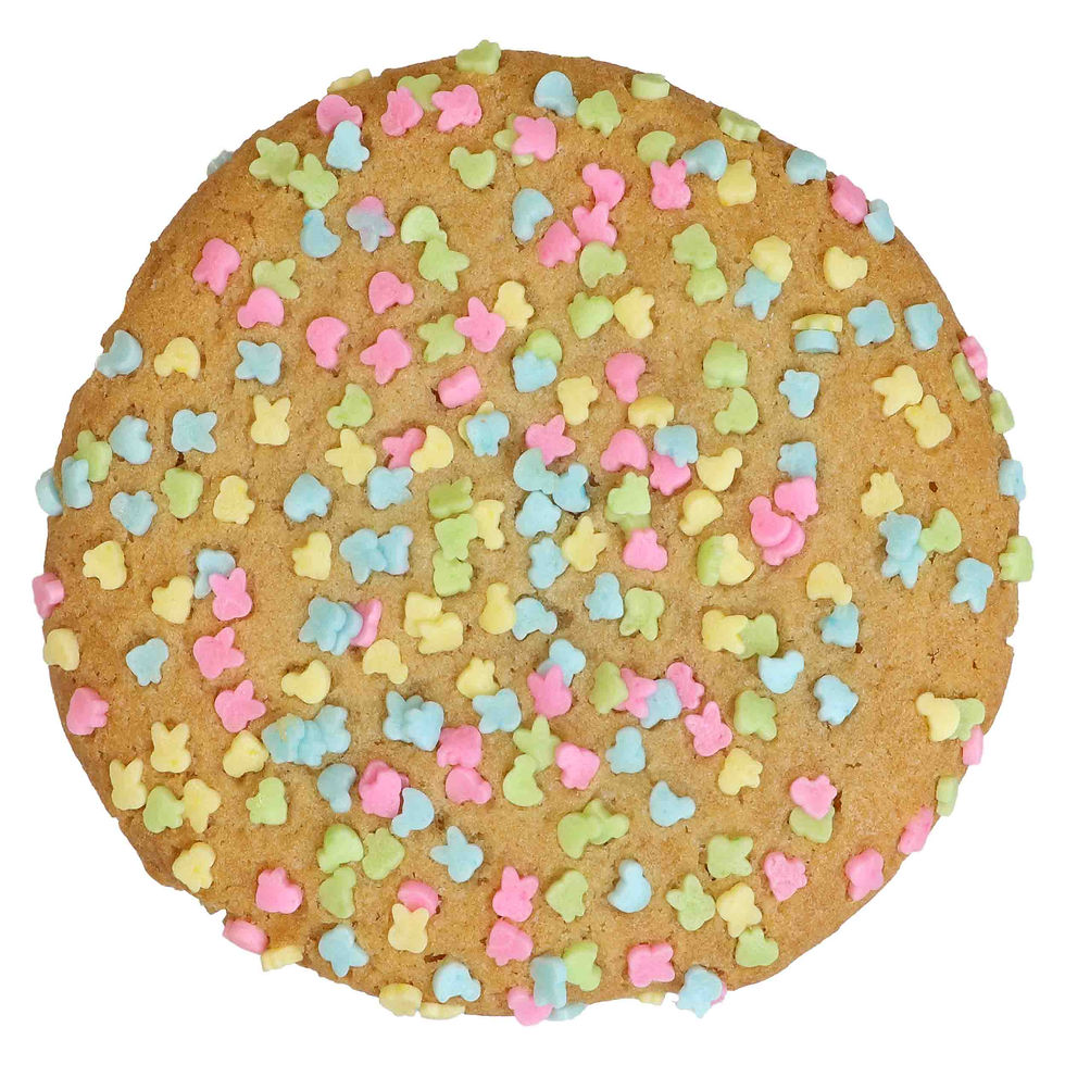 chocolatechip-cookie.jpg
