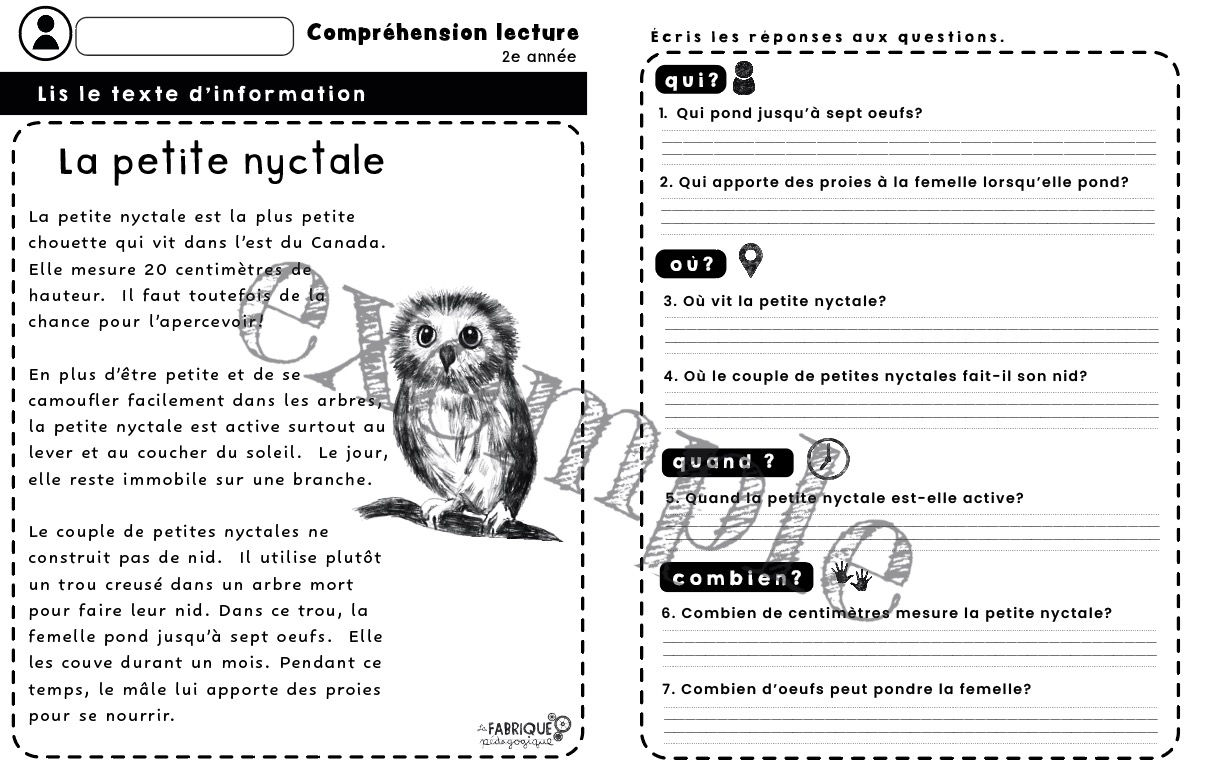 La petite nyctale