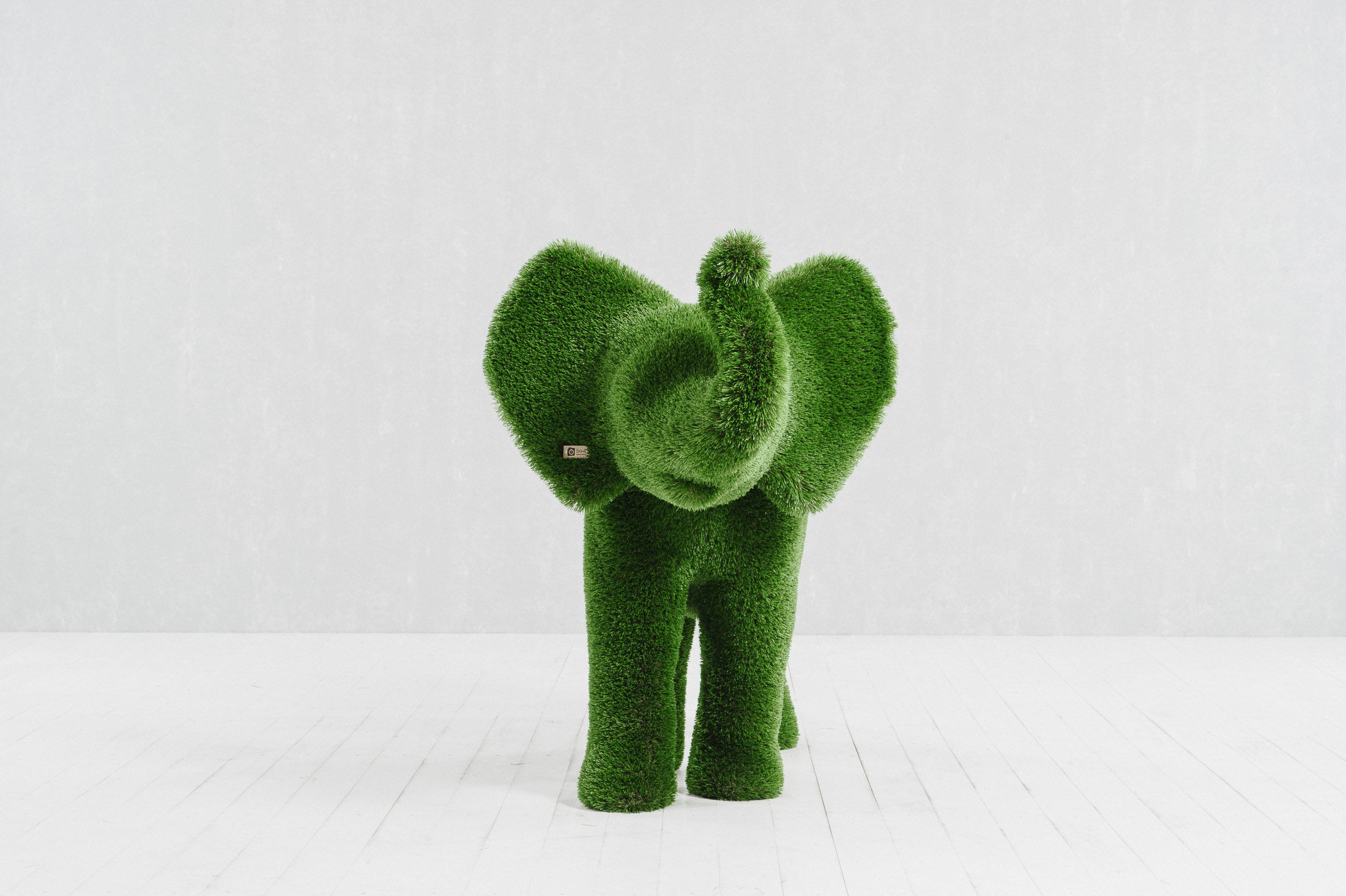 Elephant Small