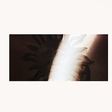 Moonveil Album Art.png