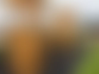 The 10 Best Playgrounds & Play Spaces Around Meath