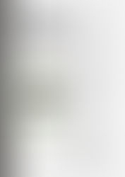 超實用的2015秋拍小貼士