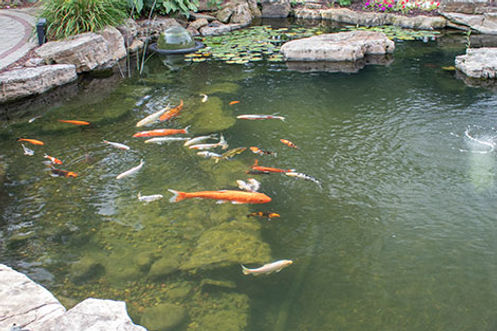 Atlanta Pond Construction Company