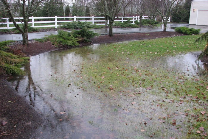 How to Fix Yard Drainage Issues - File How to Fix Yard Drainage Issues - File