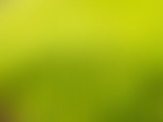 Tips to Improve Bermuda Spring Green Up - Cumming Lawn Care
