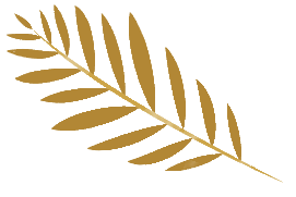 feather_icon_edited.png