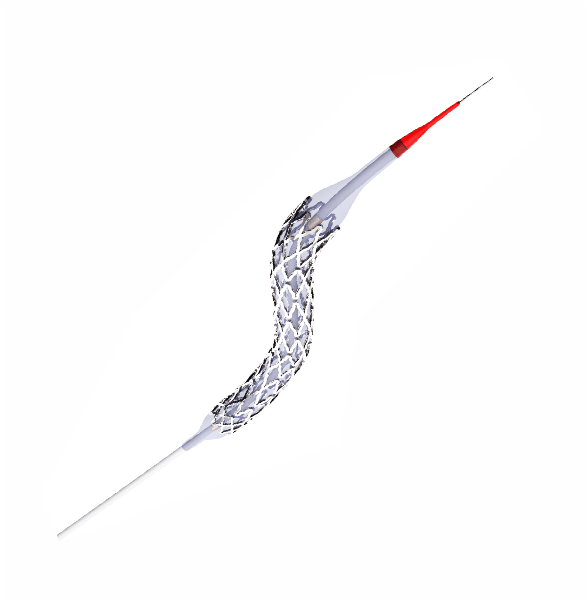 Miniatura: SIROLIMUS™ - Stent coronario liberador de farmaco y polimero biodegradable