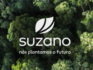Novas Vagas na Suzano: Trabalhe na Líder Global em Sustentabilidade