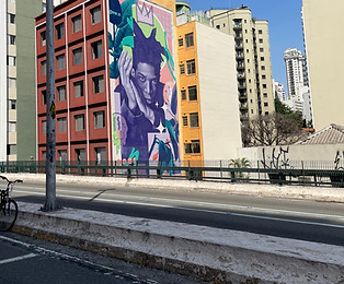 Elevado Presidente João Goulart/SP