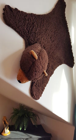 bear rug on wall