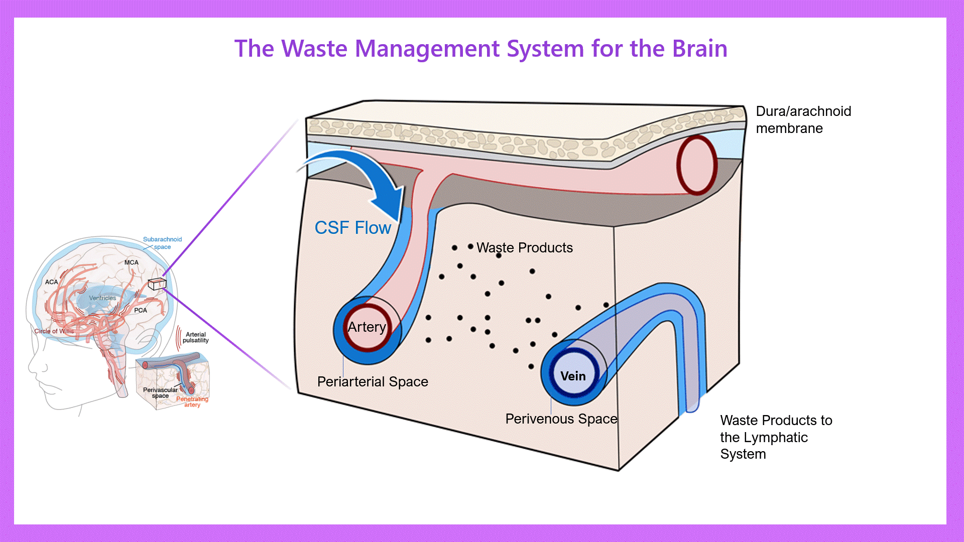 Science Web Page animation 6 6 23.gif