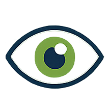 Vision