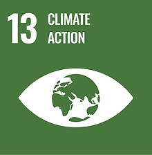 sdg 13