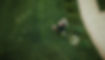 11062b_0e70a939d9b947e796d2ae7b1c078c3f~mv2.jpg
