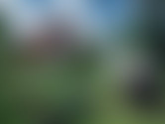 SEPTIC SYSTEMS ON RURAL PROPERTIES: WHAT LANDLORDS NEED TO KNOW (AND HOW WE HANDLE IT)