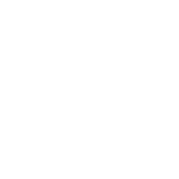 expense.png