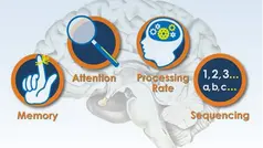 Neurocognitive Functioning in Children and Adolescents with Sickle Cell Disease
