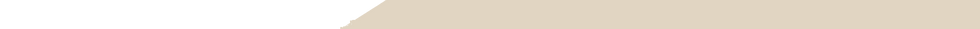 46dd91_c60e941041a4448995369ceb8283699c_mv2 (2).png