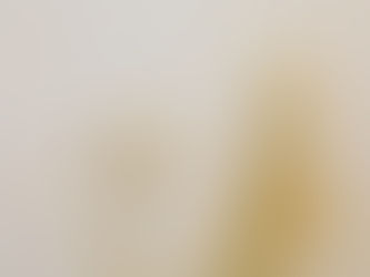 MOULD IN RENTALS: WHO’S RESPONSIBLE & WHAT LANDLORDS MUST DO