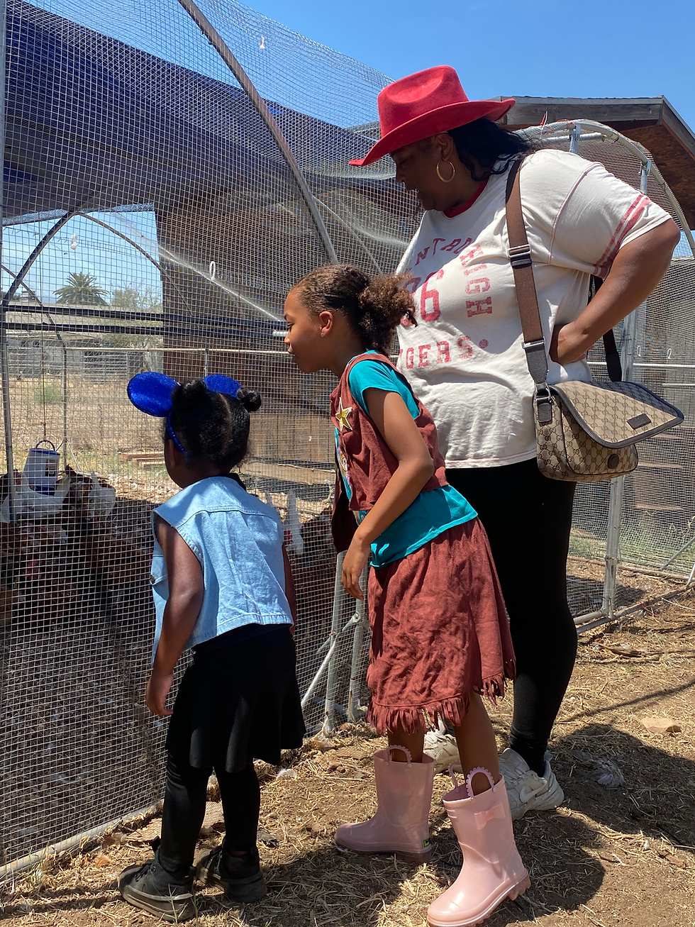 People looking at chickens.heic