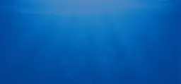 slide-v1-1-1.webp