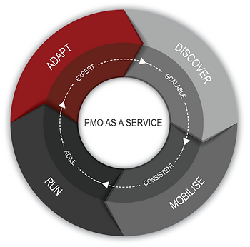 PMO_as_a_Service_PM-Partners_group.png
