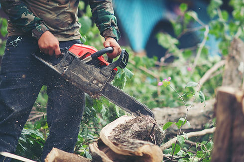 asian-man-cutting-trees-using-electrical-chainsaw.jpg