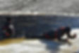 cold-water-immersion-cropped-1.jpg