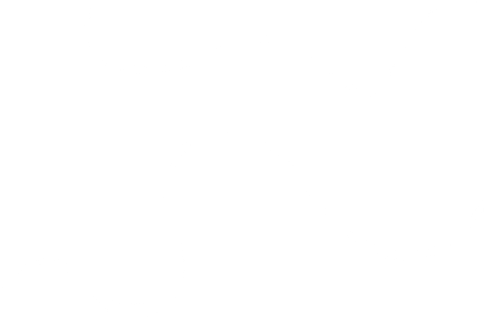 1102dd6c-76e1-42b7-8b1a-30a91fe8858d copy.png