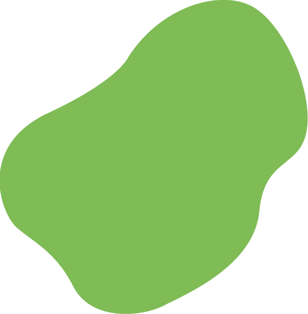 9bcfa483-8e1d-417b-ade6-f20e23b17c07 (3).png