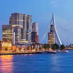 Rotterdam.webp