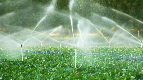 M8123-Blog-How-To-Save-Water-and-Money-With-Efficient-Irrigation-Systems-Hero-Image.jpg