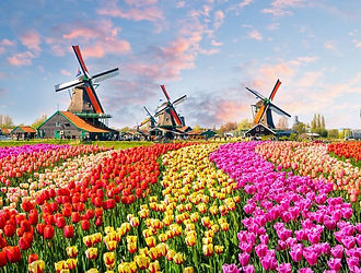 Zaanse schans.jpg