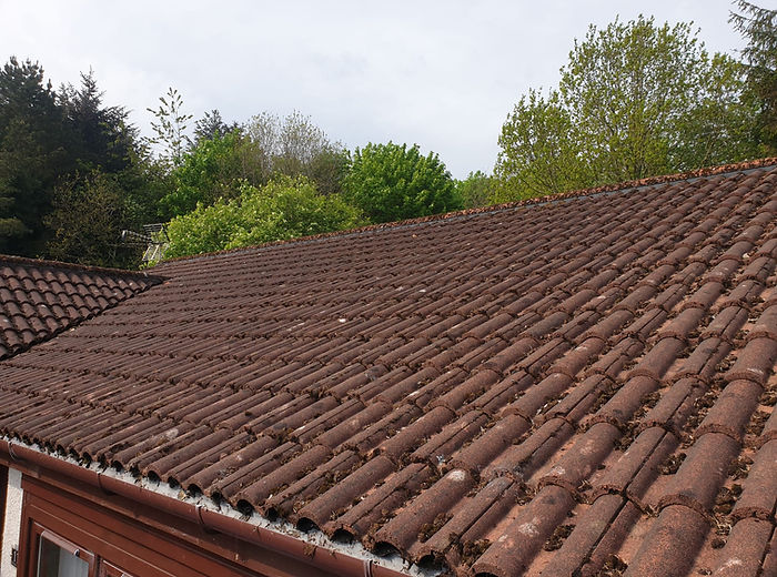 Exterior cleaning and coating work completed by Dalguise Coatings