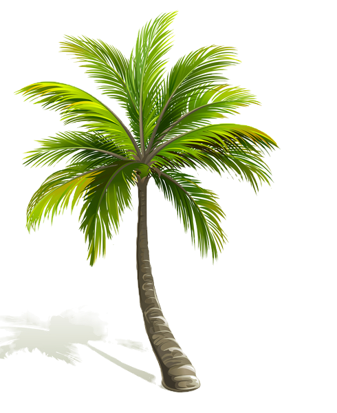Realistic-palm-tree-illustration-vectors-02_edited.png