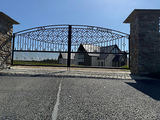 Decorative_steel_arched_tops_4 (1).jpeg