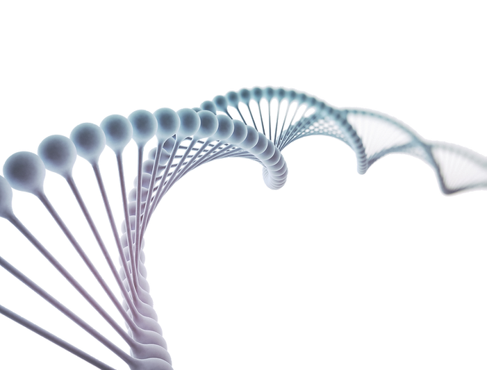 Untitled (3) (1).png