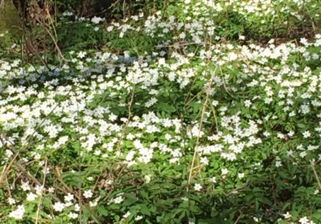 Äidit golfaa ilmaiseksi äitienpäivänä 9.5.