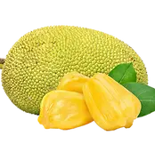 jackfruit-transparent-background-free-png.webp