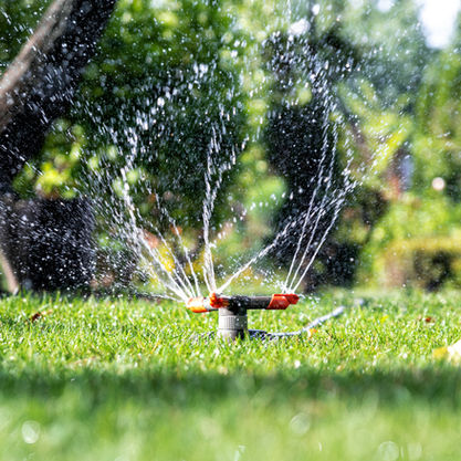 Seasonal irrigation tips (spring startup, fall winterization)