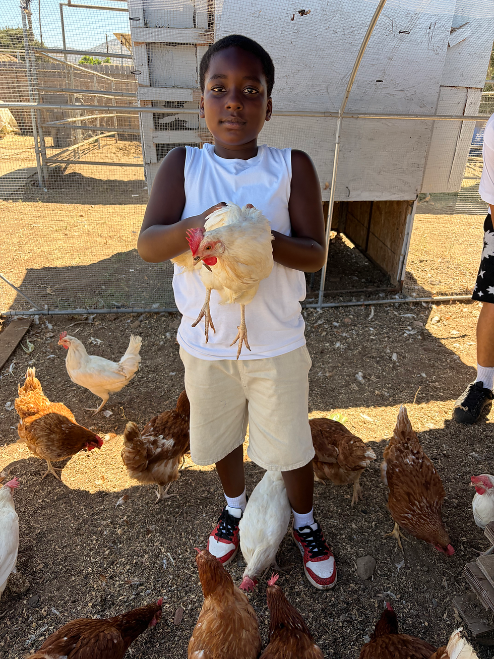 Boy holding chicken 2.heic
