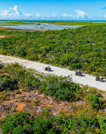 ATV Pics (120 of 153).jpg
